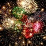 Silvester in der Landwirtschaft 2021